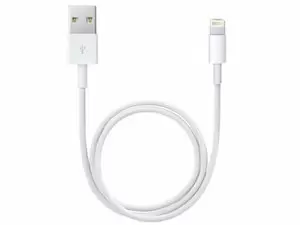 "Apple Lightning to USB Cable (0.5m) - ME291ZA/A Price in Pakistan, Specifications, Features"