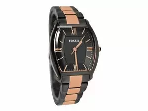 "Fossil ES3059 Price in Pakistan, Specifications, Features, Reviews"