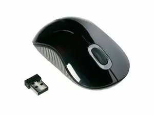 "Targus Wireless Comfort Laser Mouse Price in Pakistan, Specifications, Features"